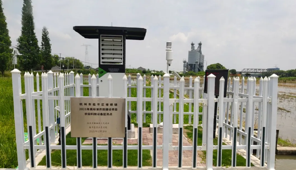 聽(tīng)說(shuō)，現(xiàn)在流行這樣種田