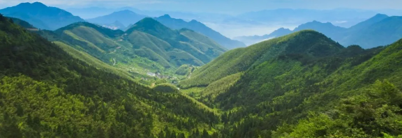 智慧護(hù)林有妙招，看太子山如何用科技守護(hù)森林