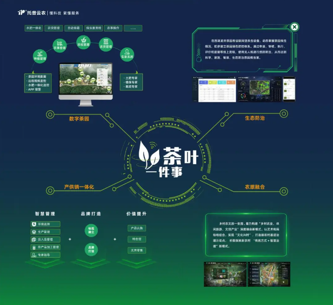 “數(shù)字”賦能茶產(chǎn)業(yè)，“茶葉一件事”續(xù)寫中國(guó)茶發(fā)展新模式