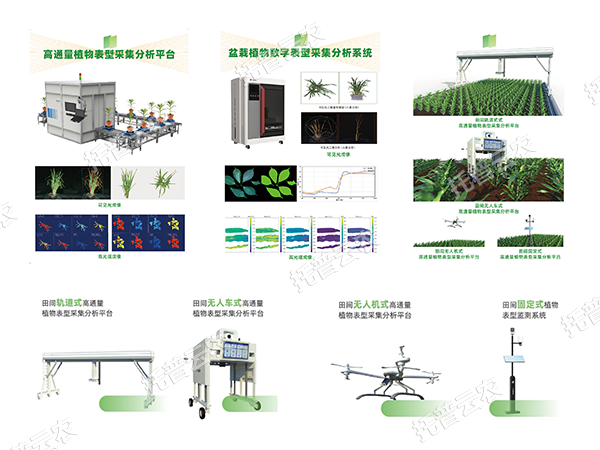 AI+農(nóng)業(yè)新突破！托普高通量植物表型智能分析平臺(tái)助力智慧農(nóng)業(yè)創(chuàng)新發(fā)展